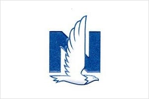 A blue and white logo of an eagle with the letter n.